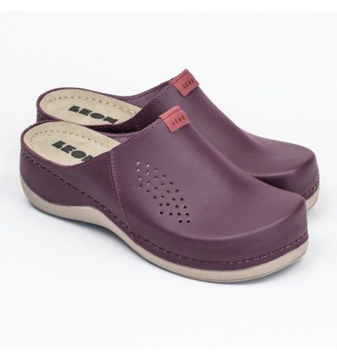 Saboti medicali, de dama,...